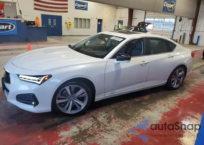 19UUB5F64MA002940: 53508255