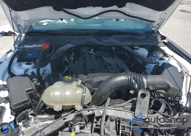 1FATP8UH8L5179831: 53498505