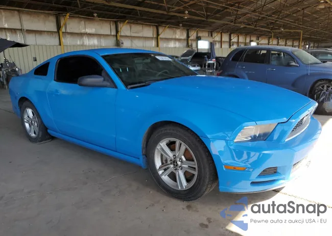 1ZVBP8AM2E5237908: 55855854