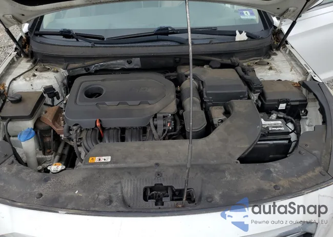 5NPE24AF0FH198312: 58635225