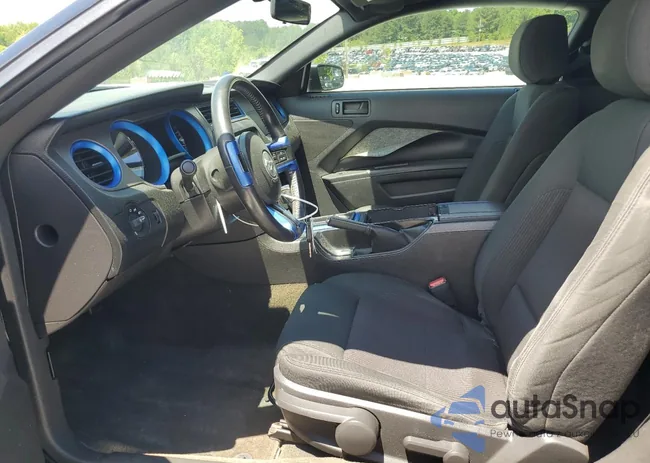 1ZVBP8AM6D5283353: 55662925