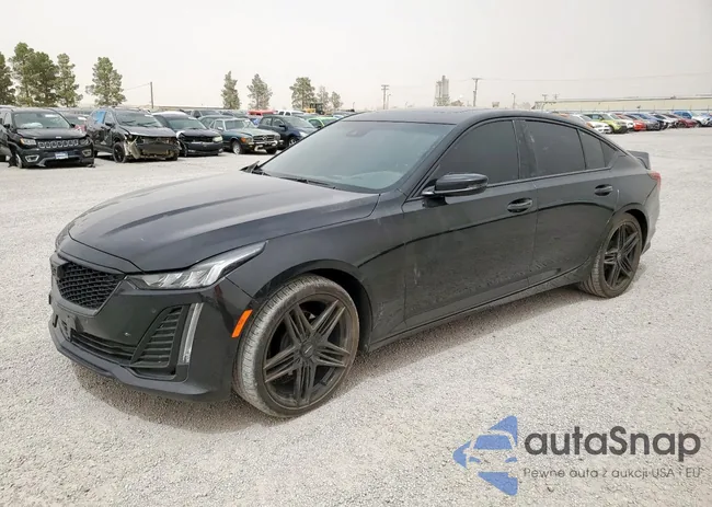 1G6DN5RW6N0116224: 56781425