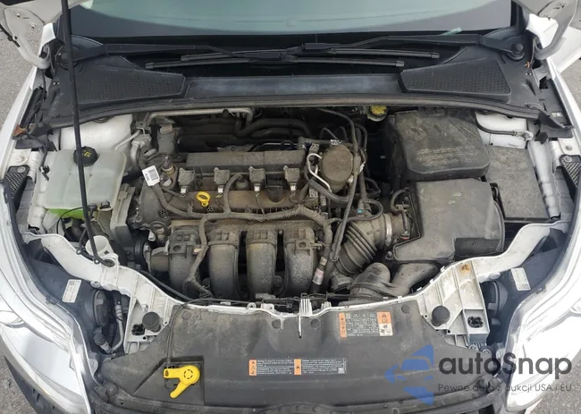 1FADP3F21GL293462: 58619645