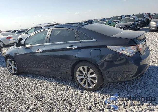 5NPEC4AB6CH398228: 81450264