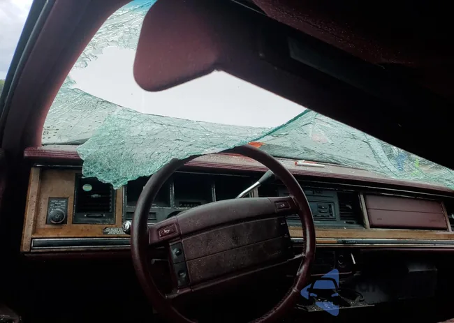 1LNLM81W7RY647217: 54511955