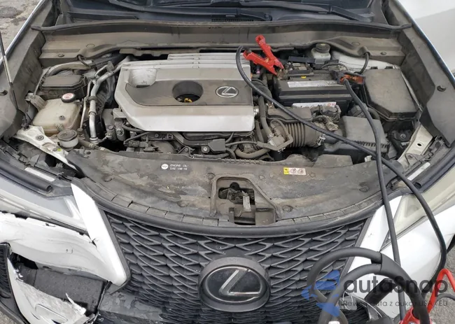 JTHY3JBHXK2016540: 55424475