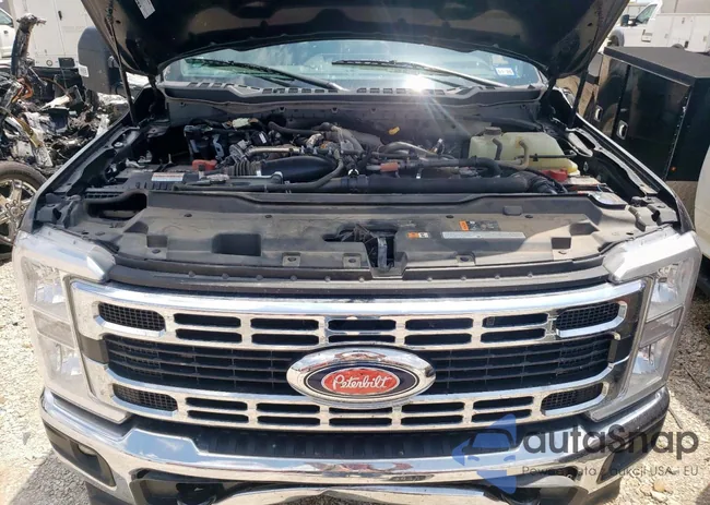 1FT8W3DM4REC62569: 58057795