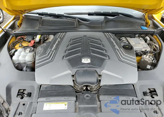 ZPBUA1ZL9KLA00879: 58017485