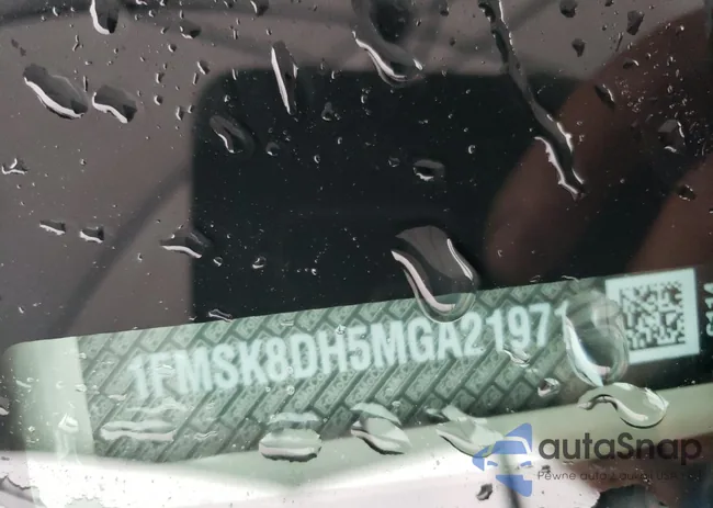 1FMSK8DH5MGA21971: 55588425