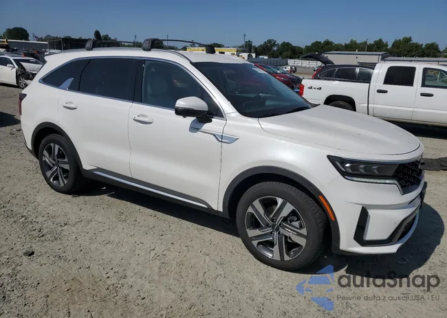 KNDRKDLGXP5171837: 56169115