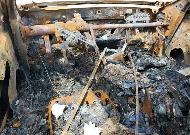 1YVHZ8DH3C5M23342: 55743775