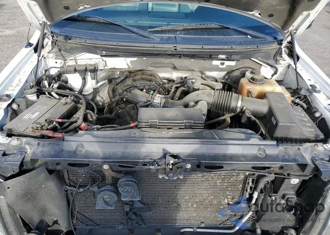 1FTEX1CM0DFB61456: 55584865