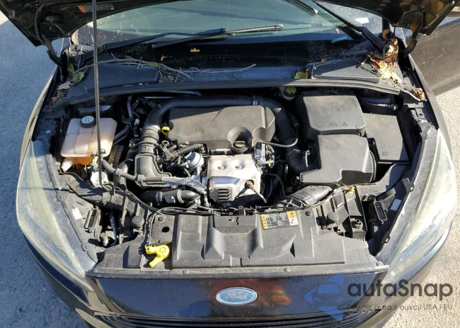 1FADP3KE7GL254231: 55953515