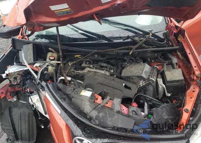 JTMBFREV3GD191738: 56205935