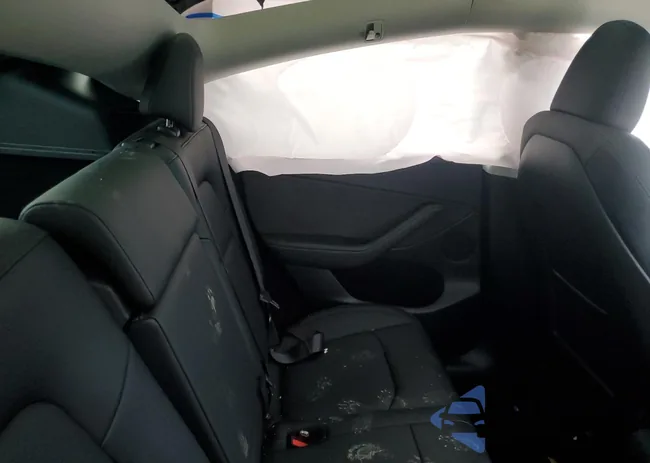 7SAYGDEDXSF223719: 55924035