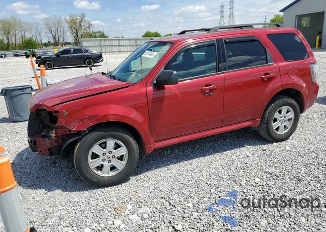 4M2CN9BG6BKJ03681: 56174445