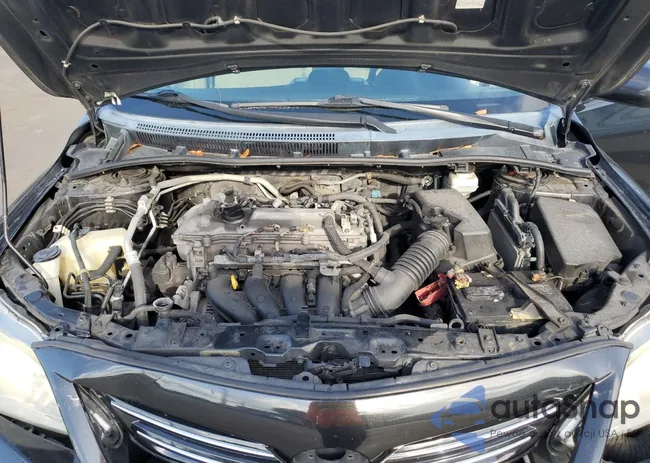 2T1BU4EEXDC117041: 59135385