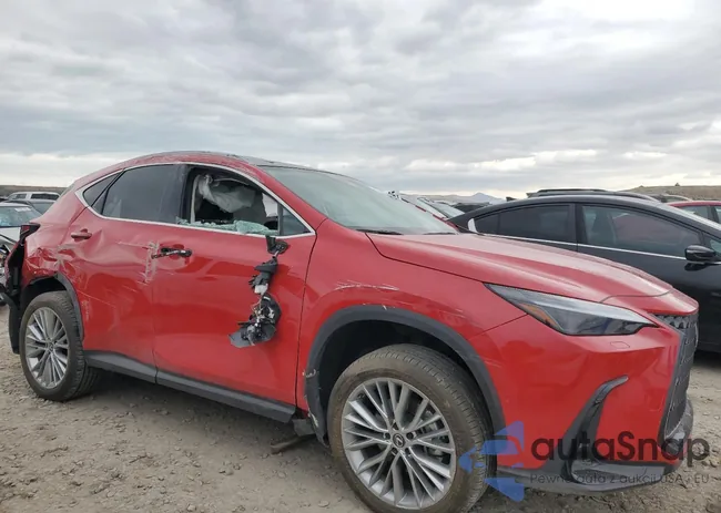 2T2HKCEZ5SC032842: 55678195