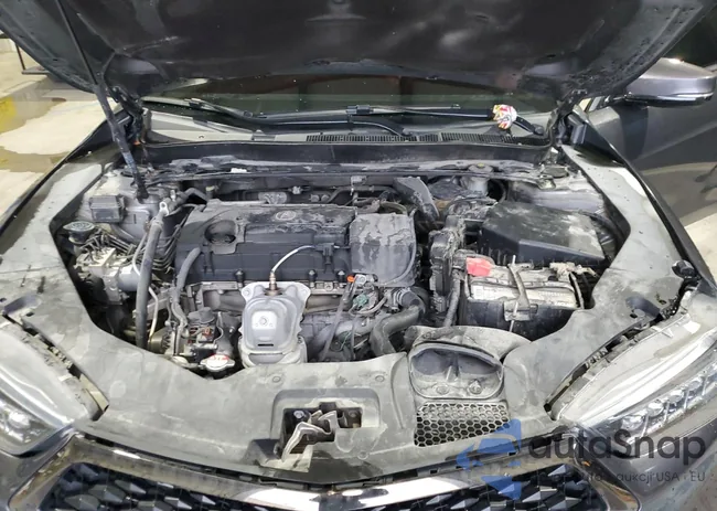 19UUB1F6XLA000519: 55957325