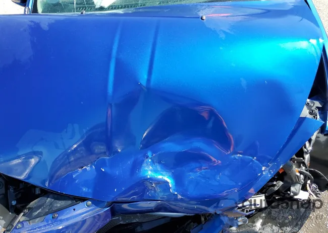 1C3CDFAA9ED871317: 58021985