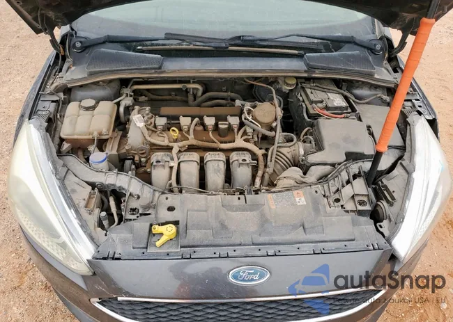 1FADP3F29FL204395: 57437405