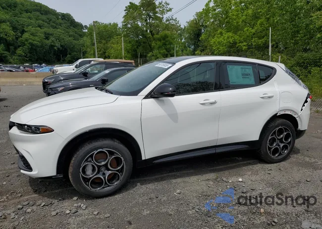 ZASPATAW3S3089889: 58319955