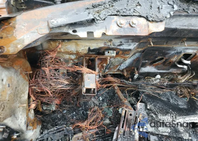 1B3JB48B17D501687: 58567055