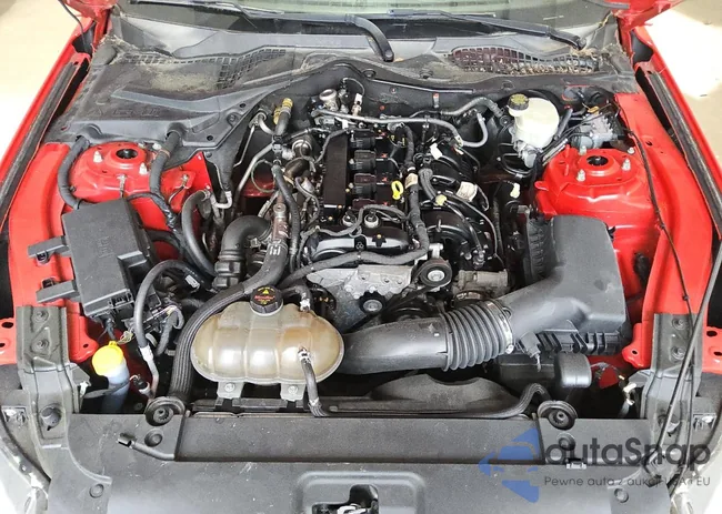 1FA6P8THXF5374574: 59265315