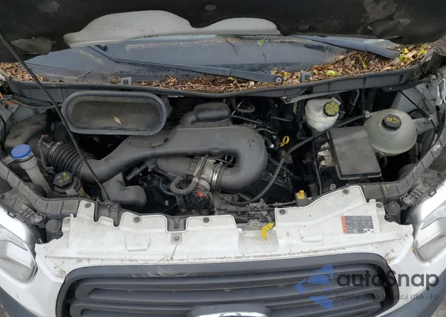 1FBZX2CM9FKB09099: 61288175