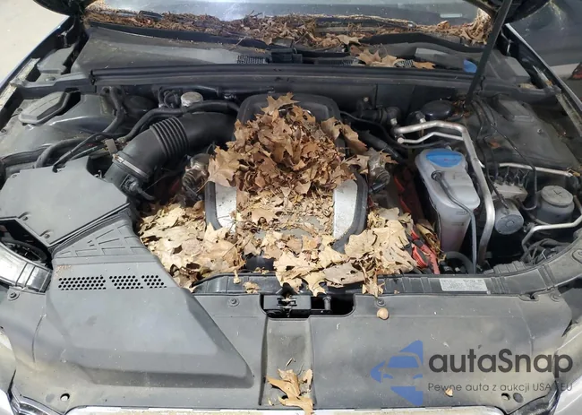 WAUVVAFRXAA053042: 61892025