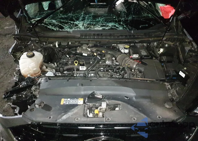 2FMPK4G91RBA10466: 60006975