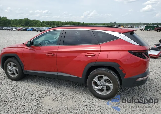 5NMJBCAE7PH217629: 59784835