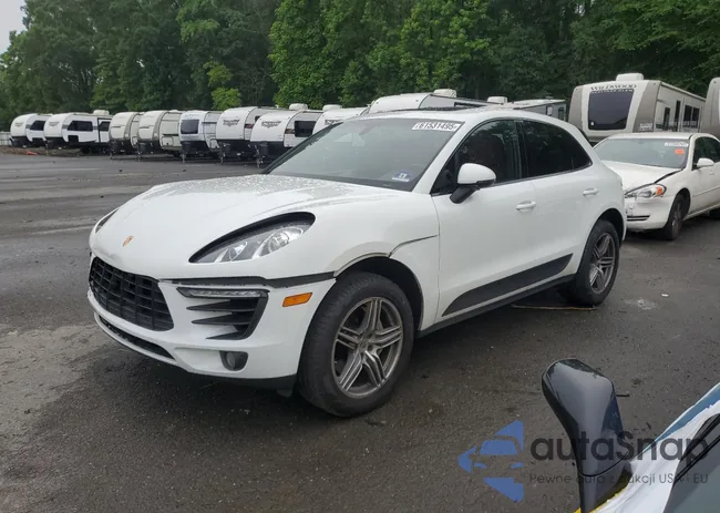 WP1AB2A52GLB47450: 61531495