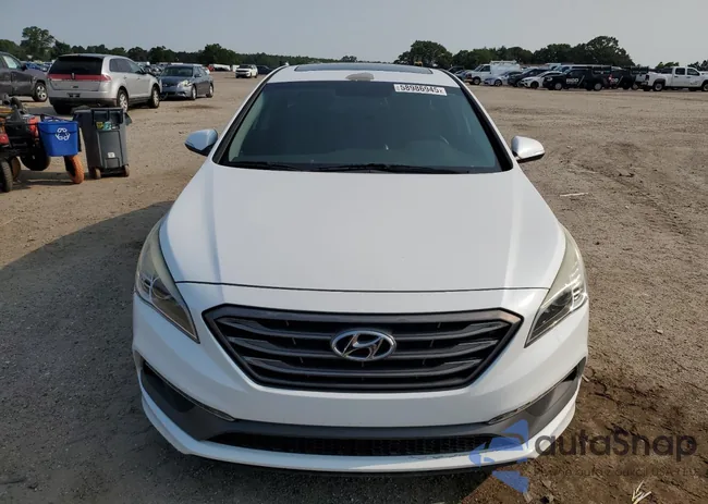 5NPE34AFXGH341801: 58986945