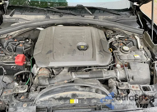 SADCJ2BN9HA096252: 63139655