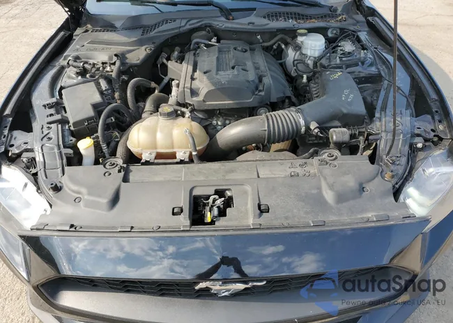 1FA6P8TH0J5167877: 60258505