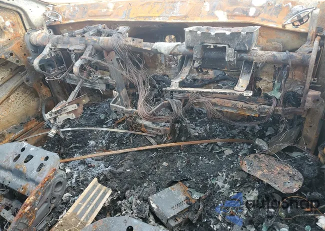 1C3CDFEB3ED700341: 59692615