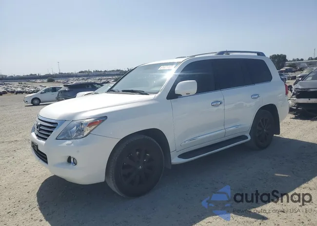 JTJHY7AX9B4079564: 61022455