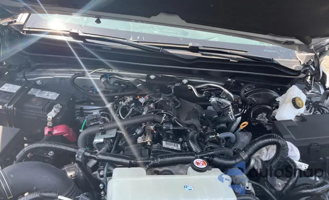 3TMLB5JNXRM037873: 61809085