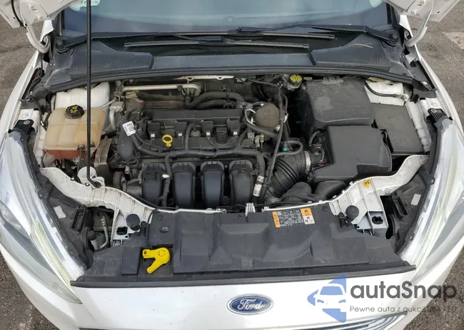 1FADP3N29GL290553: 62127055