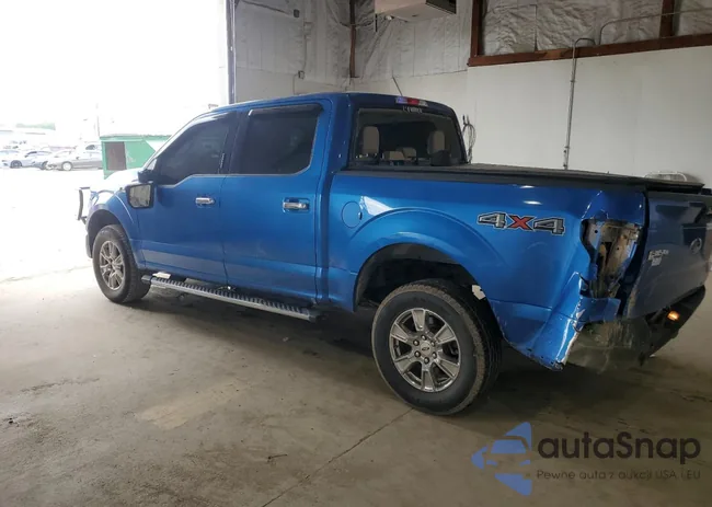 1FTEW1EF9FKD33625: 61843825