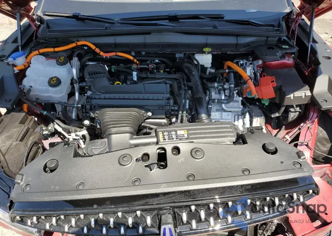 5LMPJ8K4XSJ913333: 62537585