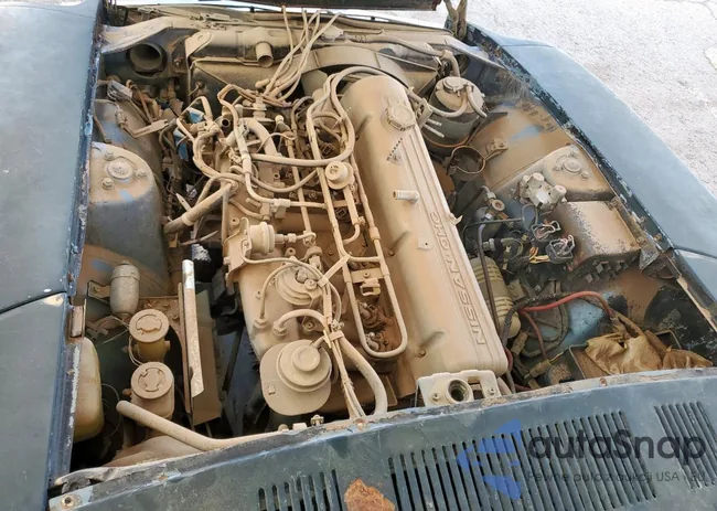 HLS30465277: 61872065