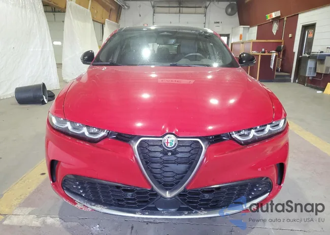 ZASPATCW3R3049433: 61204605