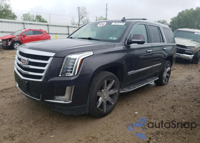 1GYS4BKJ9GR428387: 59757775