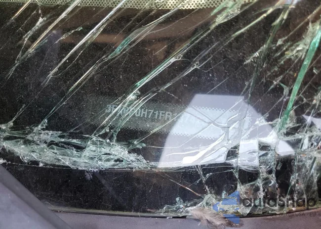 3FA6P0H71FR137423: 59520225