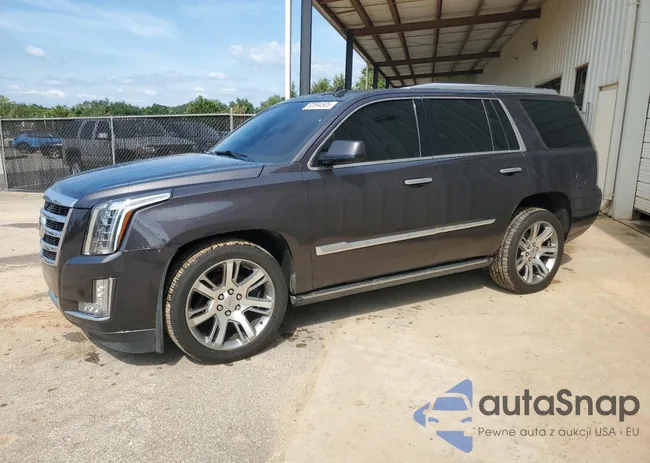 1GYS4CKJ1FR282958: 62694505