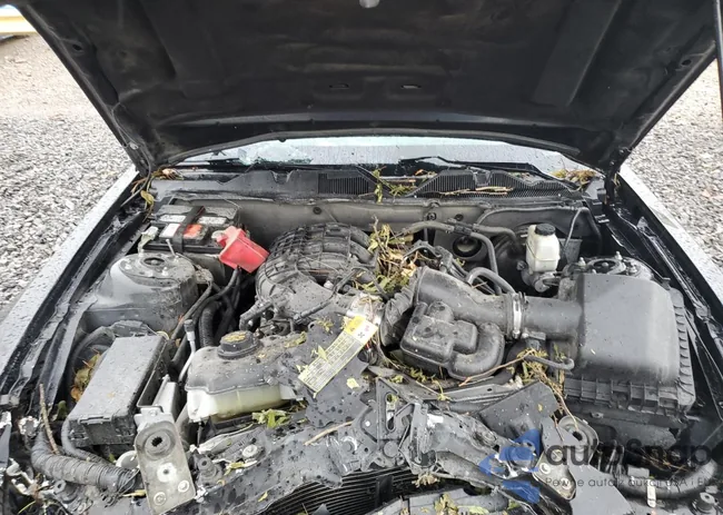 1ZVBP8AM6D5280047: 60972665