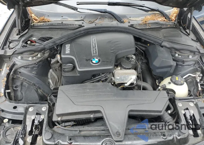 WBA8Z5C59GG500959: 61234095