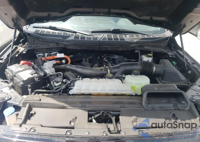 1FTFW3LD3RFA75505: 66626775